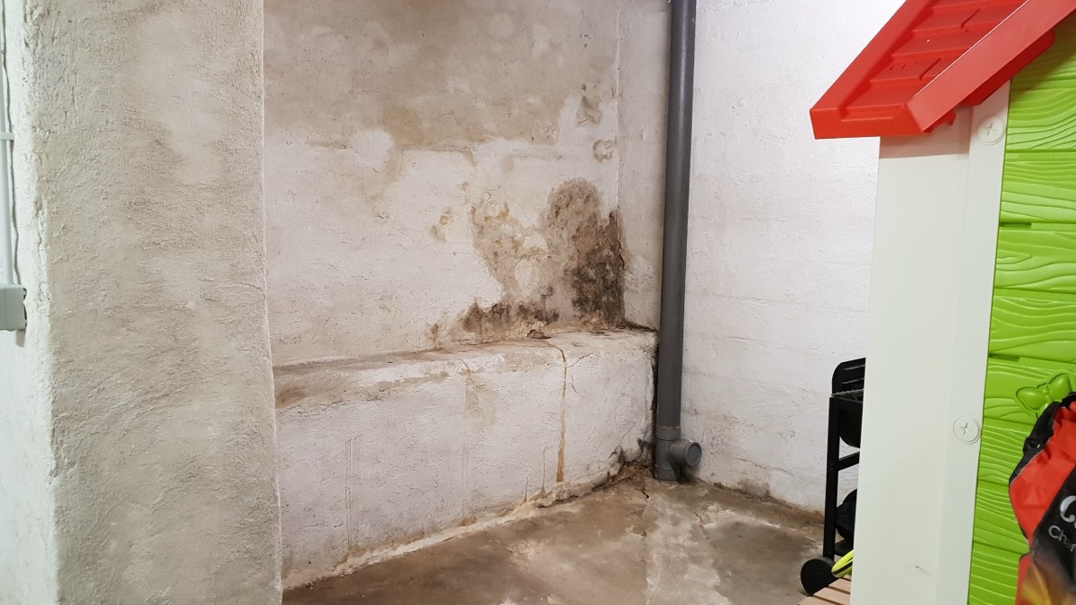 Infiltrations d'eau - Expertise humidité à Gap